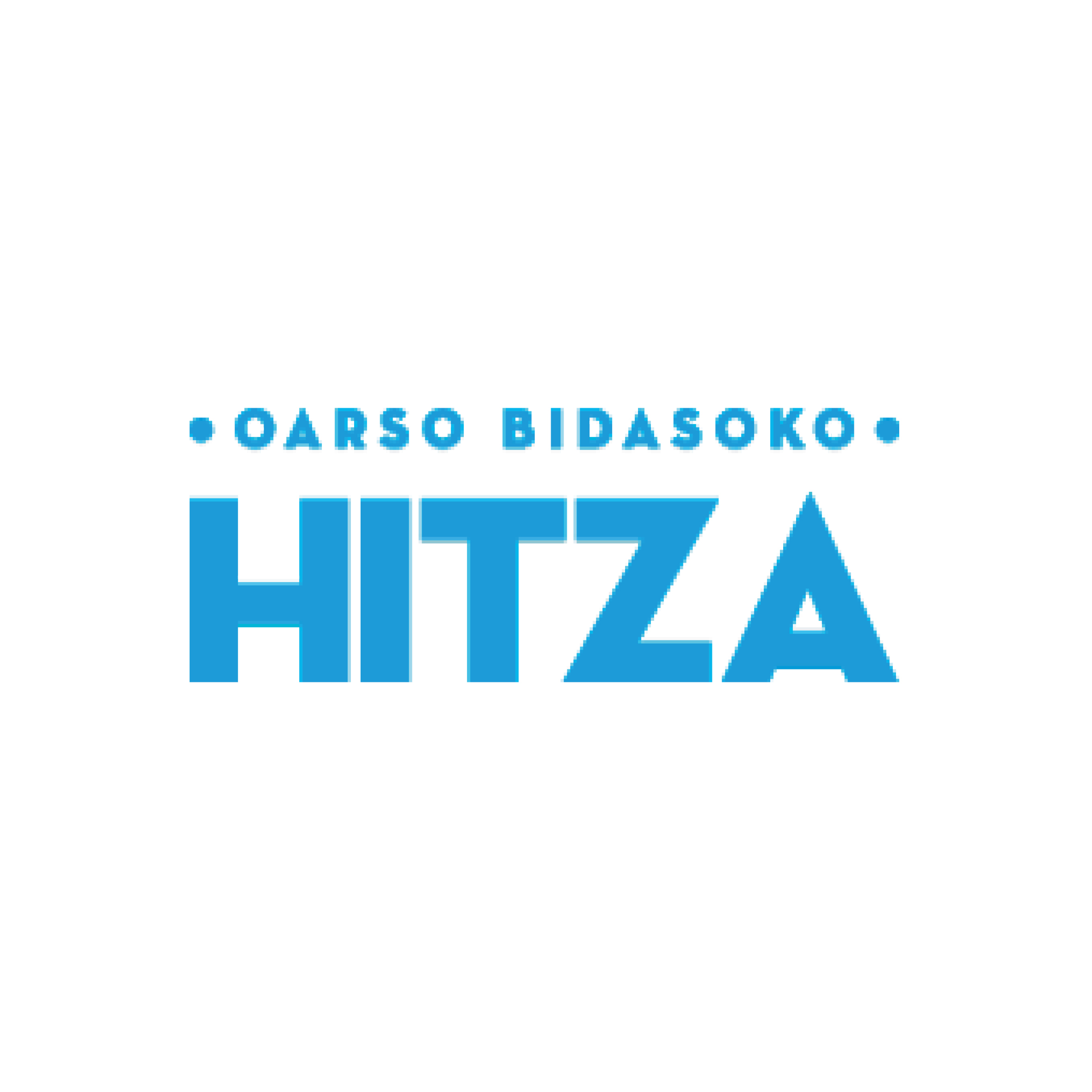 Oarso-Bidasoko Hitza